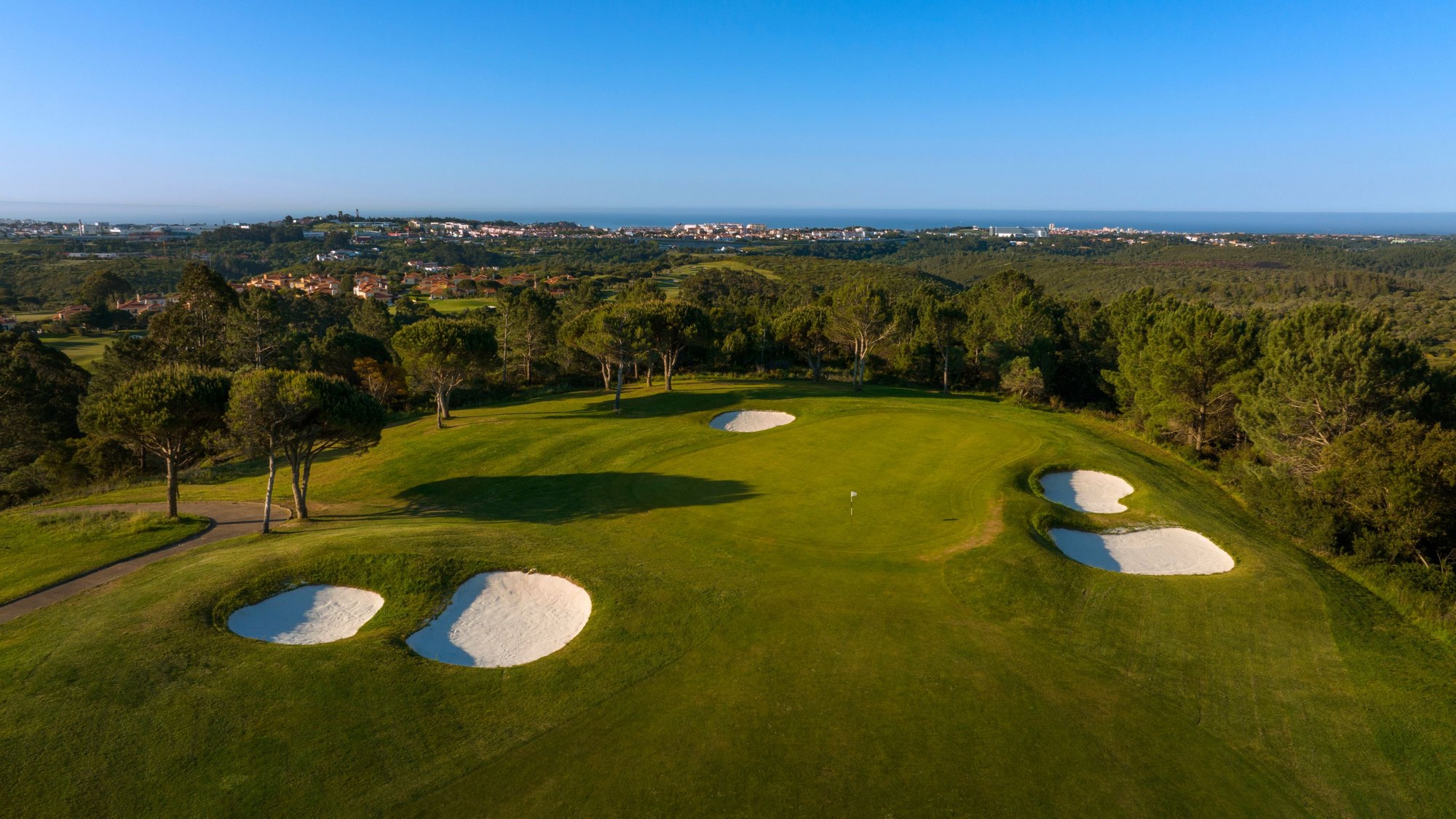 Aerial view of a championship golf green with the coast beyond