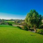 https://golftravelpeople.com/wp-content/uploads/2019/04/Aphrodite-Hills-PGA-National-Cyprus-Golf-Club-18-150x150.jpg