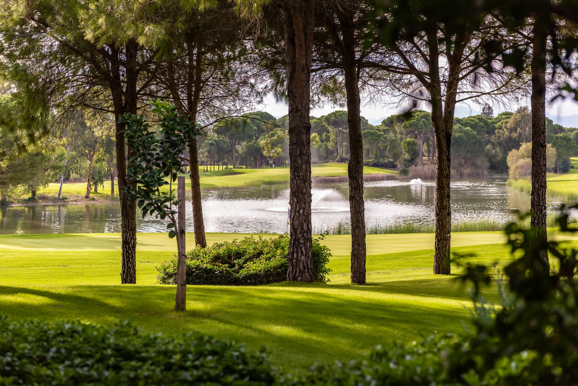 Cornelia Faldo Golf Club