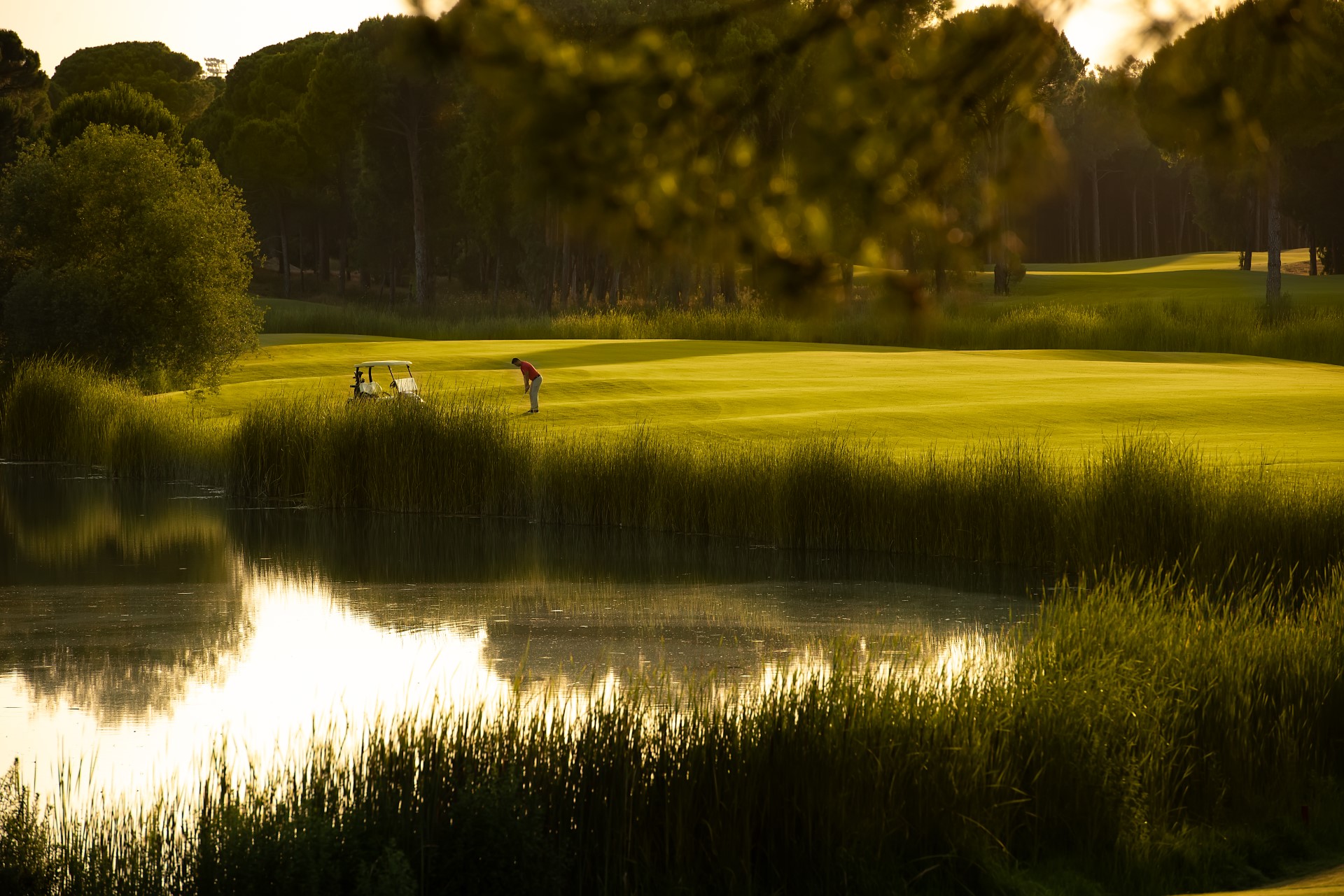 Cornelia Faldo Golf Club