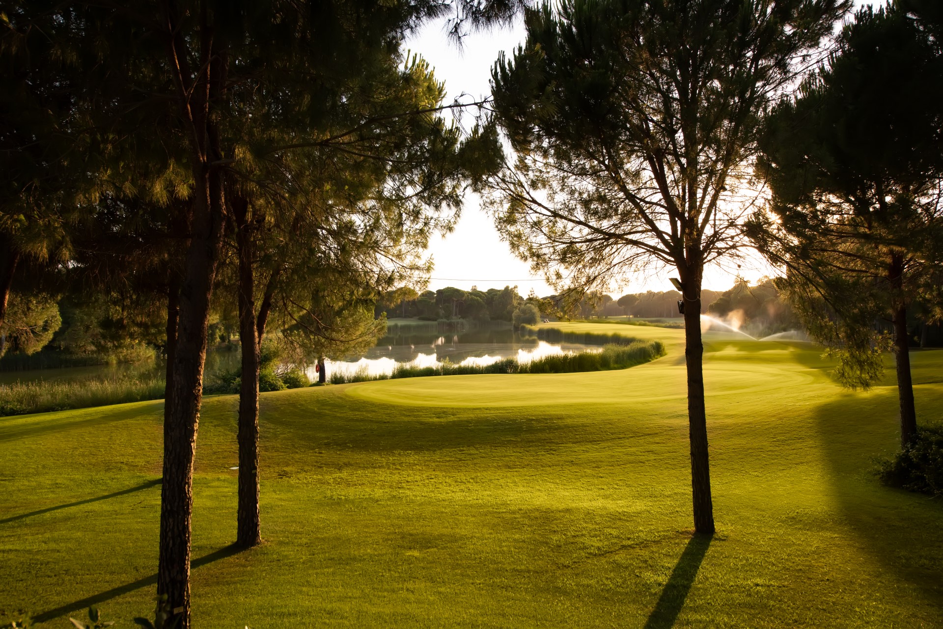 Cornelia Faldo Golf Club