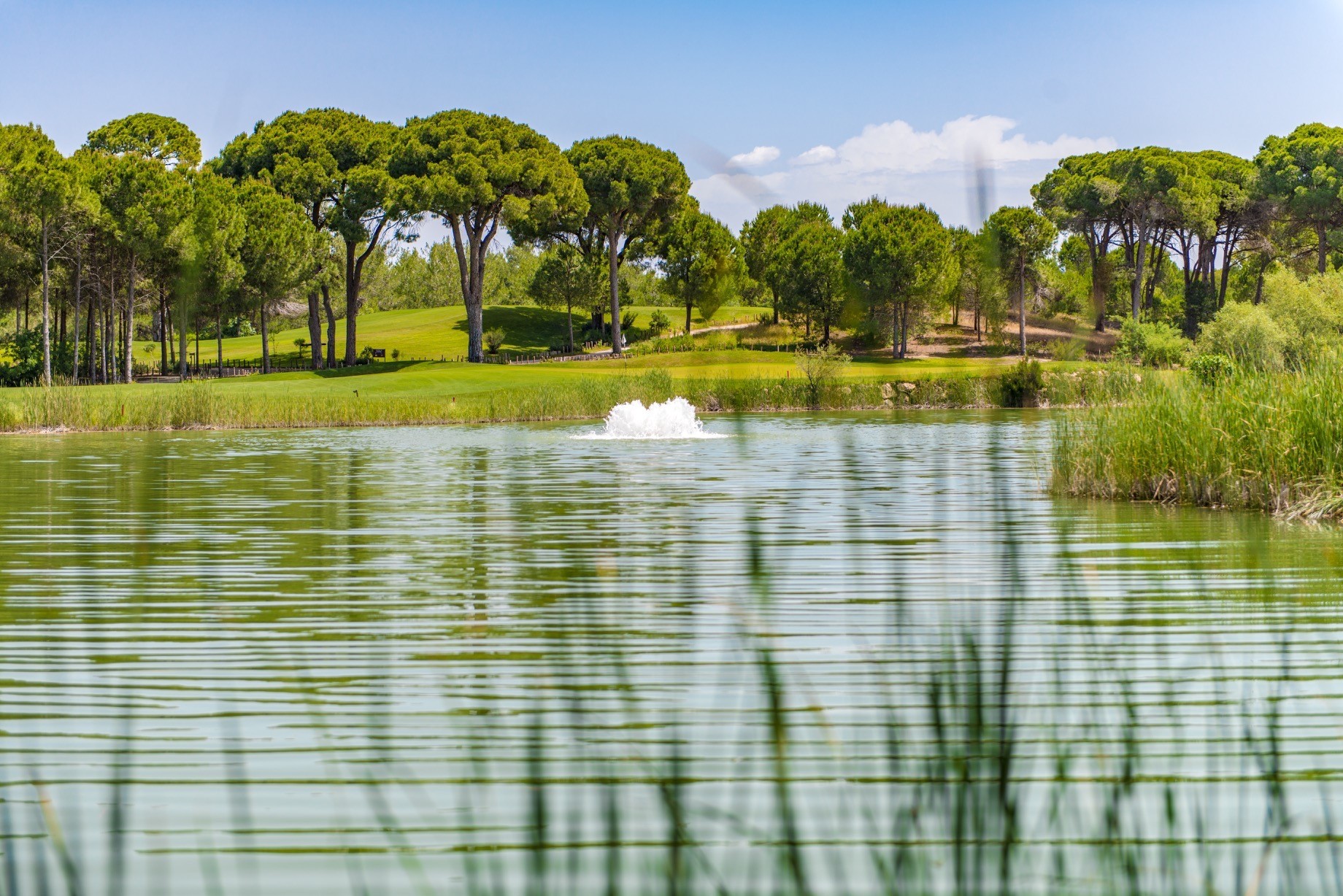 Cornelia Faldo Golf Club