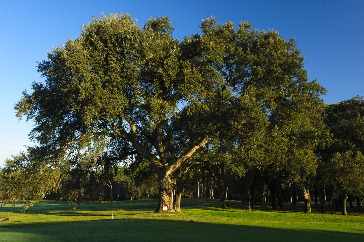 Club de Golf Costa Brava
