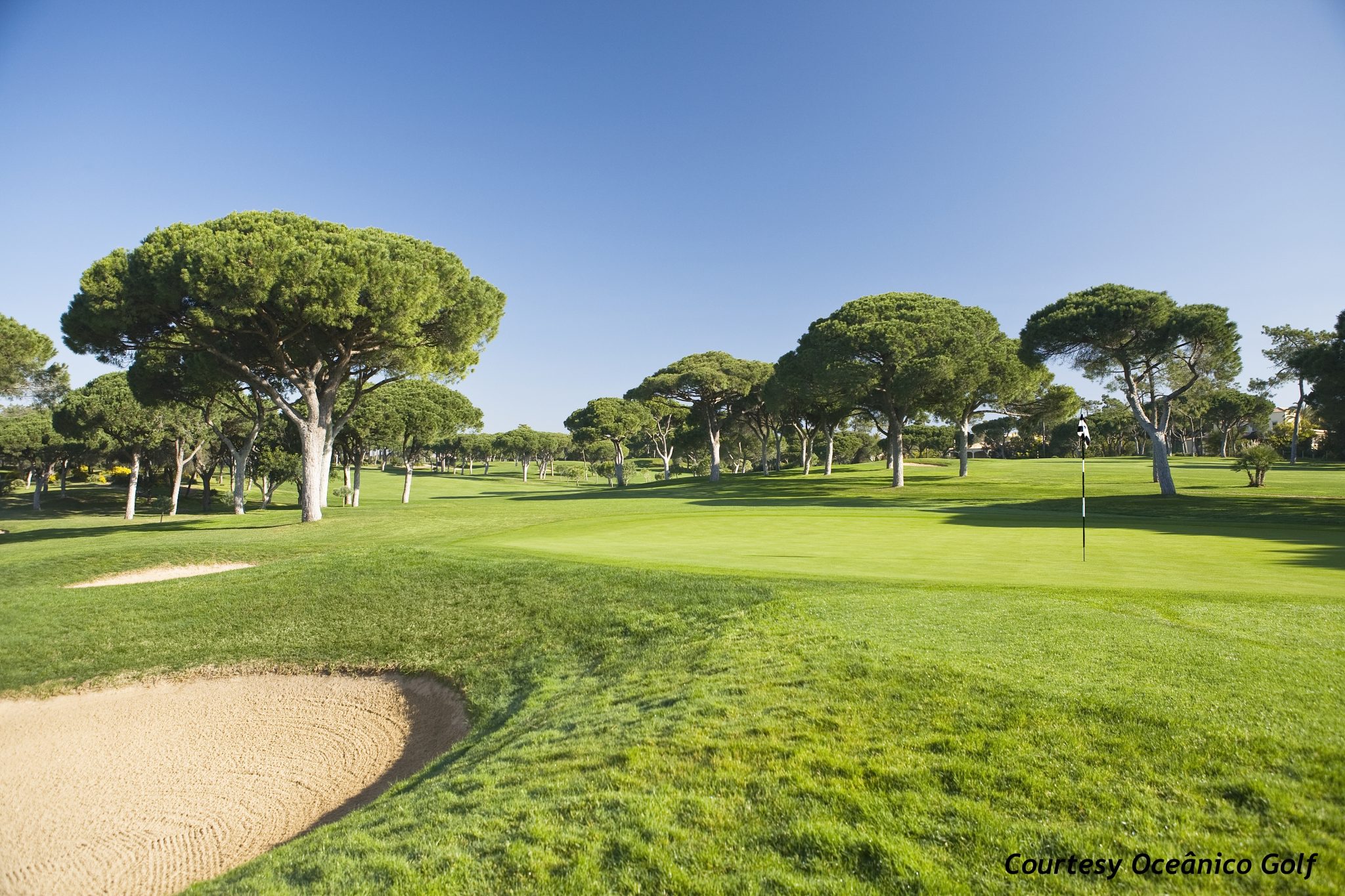 The Old Course Vilamoura