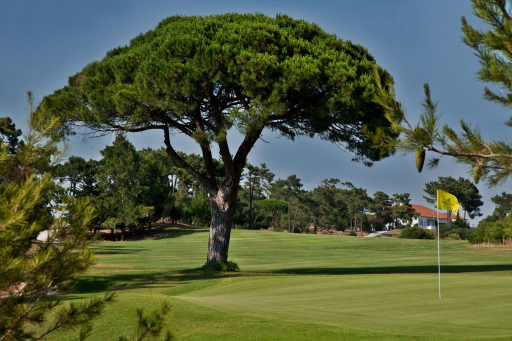 https://golftravelpeople.com/wp-content/uploads/2019/04/Estoril-Golf-Club-Lisbon-1-1024x682.jpg