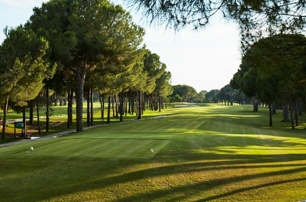 https://golftravelpeople.com/wp-content/uploads/2019/04/Gloria-Golf-Club-New-Course-Belek-Turkey-22-1024x678.jpg