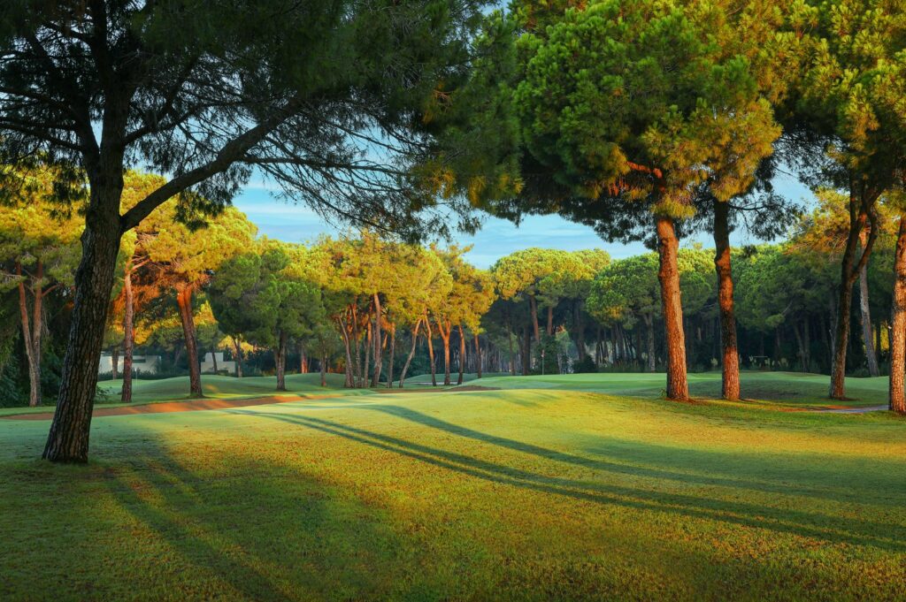 https://golftravelpeople.com/wp-content/uploads/2019/04/Gloria-Golf-Club-Old-Course-Belek-Turkey-5-1024x681.jpg