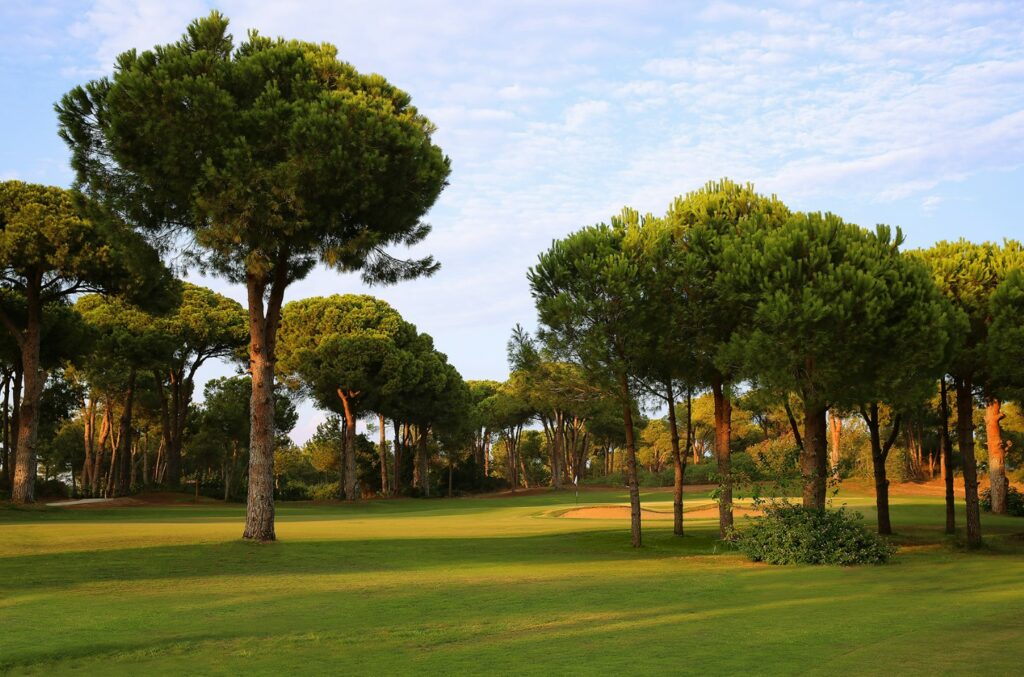 https://golftravelpeople.com/wp-content/uploads/2019/04/Gloria-Golf-Club-Verde-Select-Course-Belek-Turkey-13-1024x677.jpg