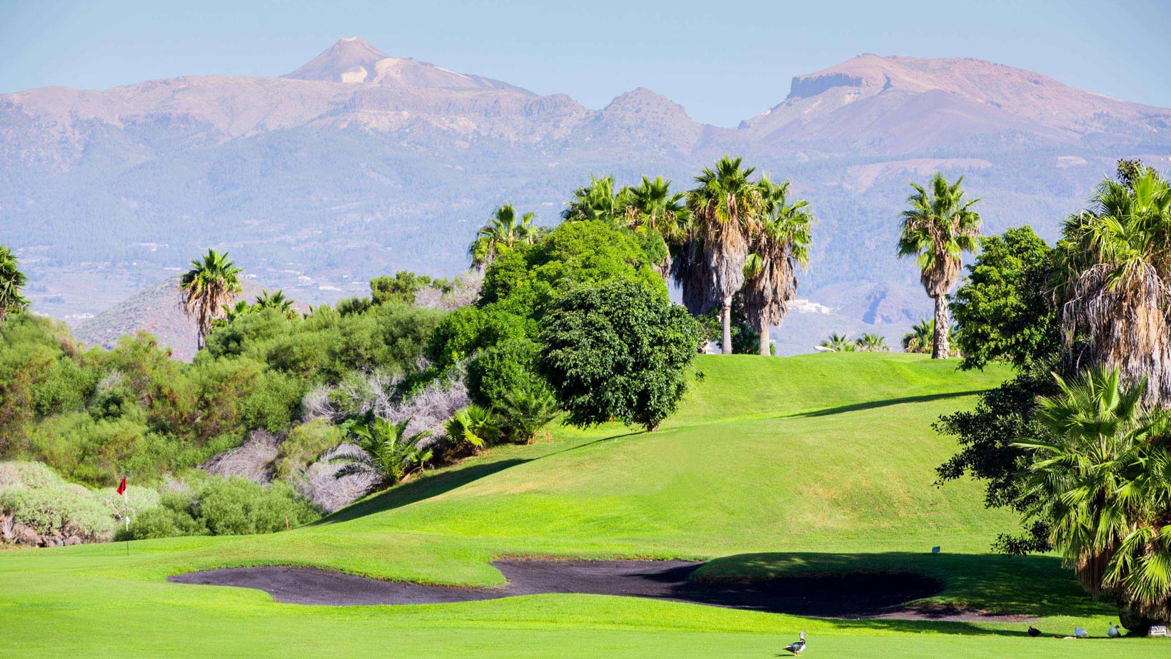 Golf del Sur, Tenerife