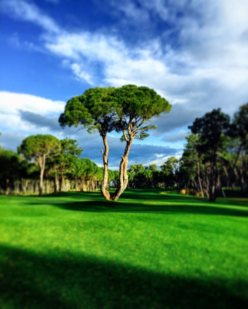 https://golftravelpeople.com/wp-content/uploads/2019/04/Kaya-Palazzo-Golf-Club-Belek-Antalya-Turkey-3-820x1024.jpg