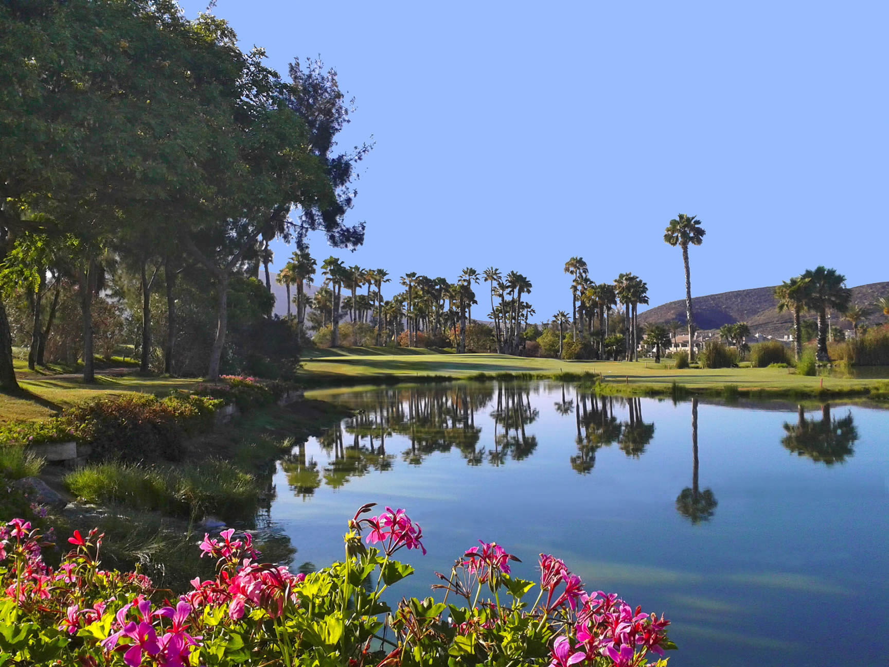 Las Americas Golf Club, Tenerife