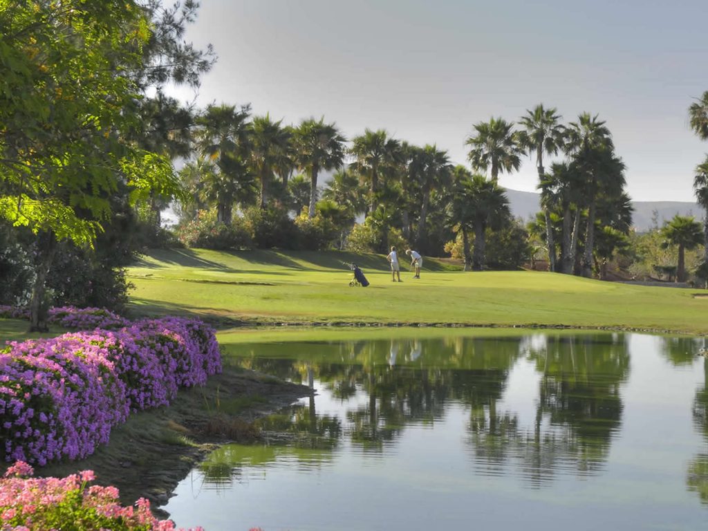 https://golftravelpeople.com/wp-content/uploads/2019/04/Las-Americas-Golf-Club-Tenerife-New-7-1024x768.jpg