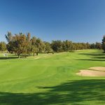 https://golftravelpeople.com/wp-content/uploads/2019/04/Penina-Golf-Resort-Henry-Cotton-Championship-Course-11-150x150.jpg