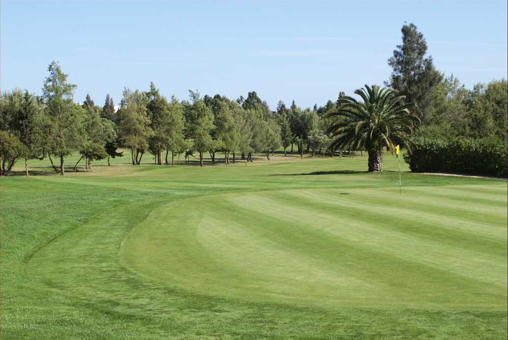https://golftravelpeople.com/wp-content/uploads/2019/04/Pestana-Alto-Golf-Club-1.jpg