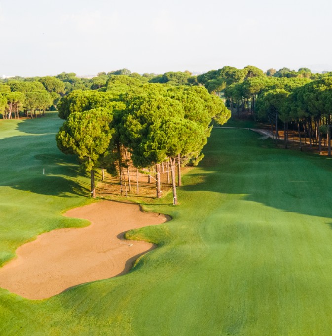 Sueno Golf Club – Sueno Pines