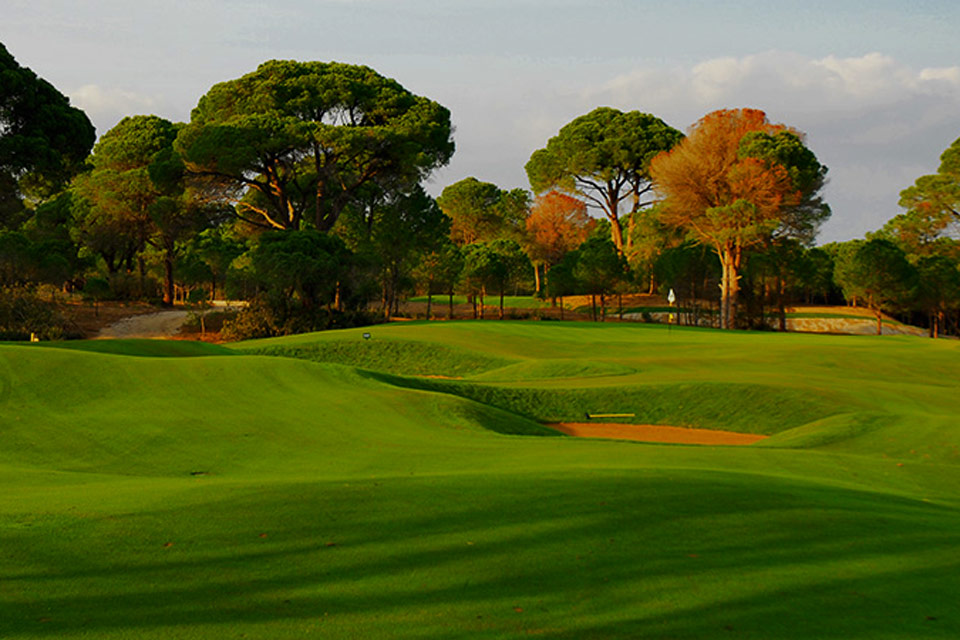 Sueno Golf Club – Sueno Pines