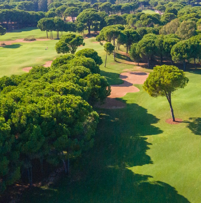 Sueno Golf Club – Sueno Pines