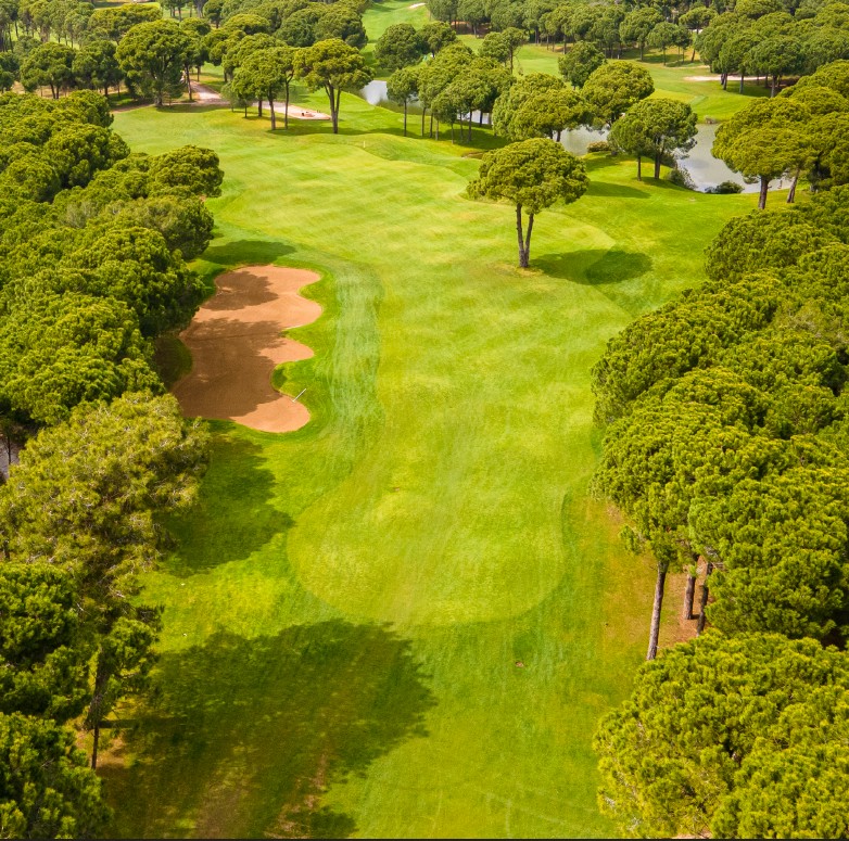 Sueno Golf Club – Sueno Pines