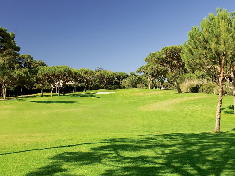 https://golftravelpeople.com/wp-content/uploads/2019/04/Pinheiros-Altos-Golf-Club-Corks-Course-7.jpg