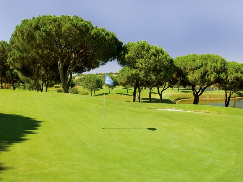 https://golftravelpeople.com/wp-content/uploads/2019/04/Pinheiros-Altos-Golf-Club-Olives-Course-1.jpg