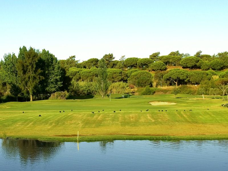 https://golftravelpeople.com/wp-content/uploads/2019/04/Pinheiros-Altos-Golf-Club-Olives-Course-3.jpg