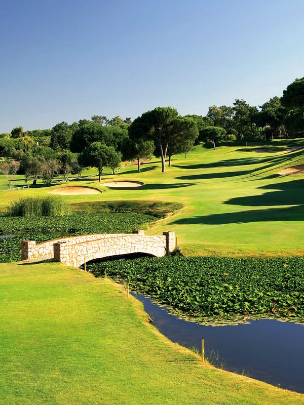 https://golftravelpeople.com/wp-content/uploads/2019/04/Pinheiros-Altos-Golf-Club-Pines-Course-1.jpg