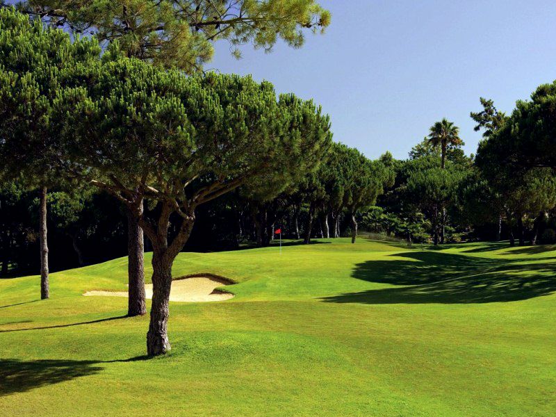 https://golftravelpeople.com/wp-content/uploads/2019/04/Pinheiros-Altos-Golf-Club-Pines-Course-2.jpg