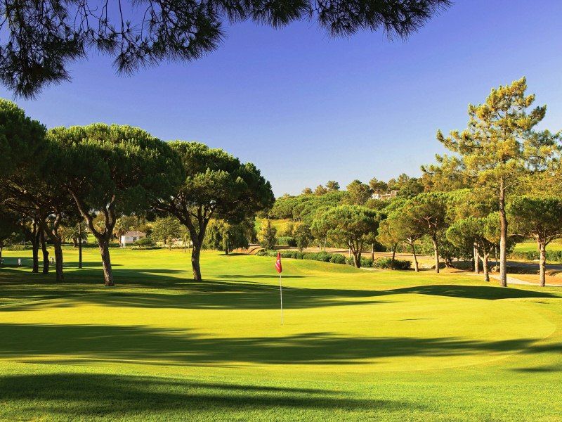 https://golftravelpeople.com/wp-content/uploads/2019/04/Pinheiros-Altos-Golf-Club-Pines-Course-3.jpg