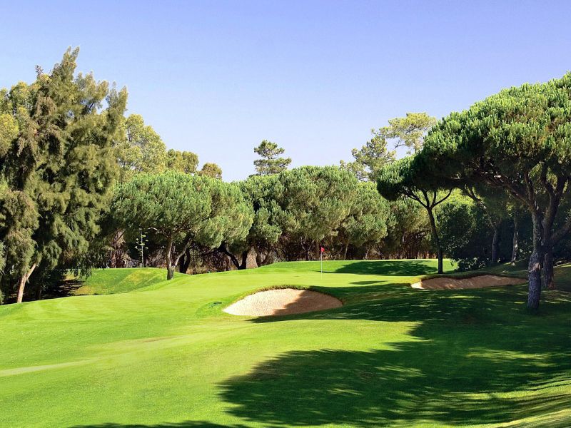 https://golftravelpeople.com/wp-content/uploads/2019/04/Pinheiros-Altos-Golf-Club-Pines-Course-4.jpg