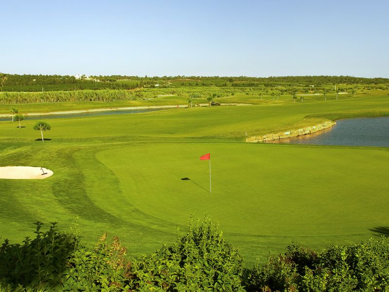 https://golftravelpeople.com/wp-content/uploads/2019/04/Pinheiros-Altos-Golf-Club-Pines-Course-6.jpg