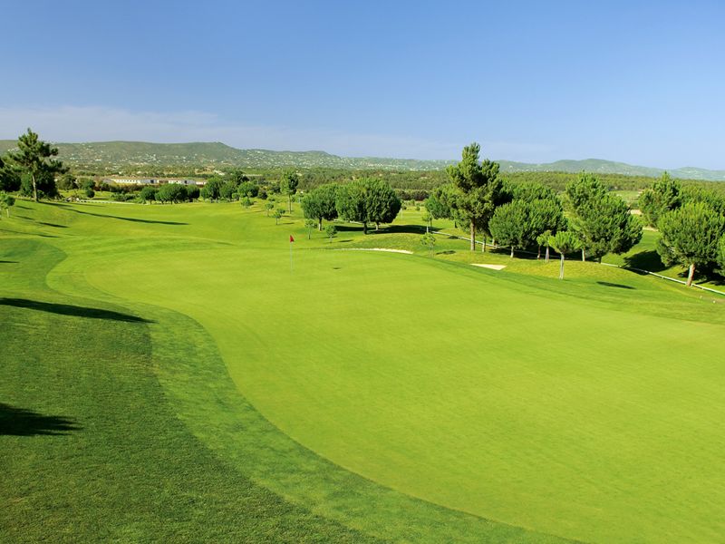 https://golftravelpeople.com/wp-content/uploads/2019/04/Pinheiros-Altos-Golf-Club-Pines-Course-7.jpg