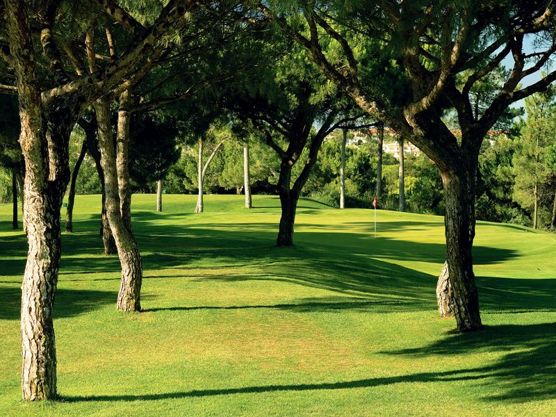 https://golftravelpeople.com/wp-content/uploads/2019/04/Pinheiros-Altos-Golf-Club-Pines-Course-8.jpg