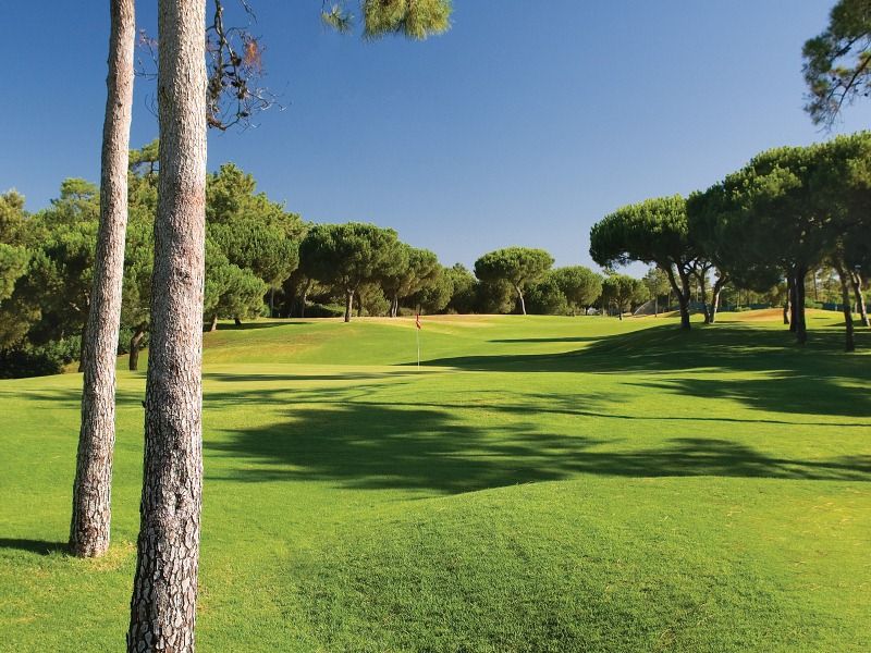 https://golftravelpeople.com/wp-content/uploads/2019/04/Pinheiros-Altos-Golf-Club-Pines-Course-9.jpg