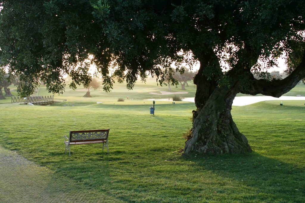 https://golftravelpeople.com/wp-content/uploads/2019/04/Quinta-da-Cima-Golf-Club-New-22-1024x683.jpg