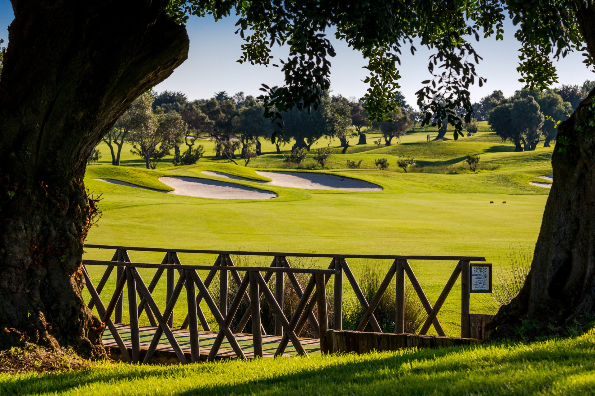 Quinta de Cima Golf Club
