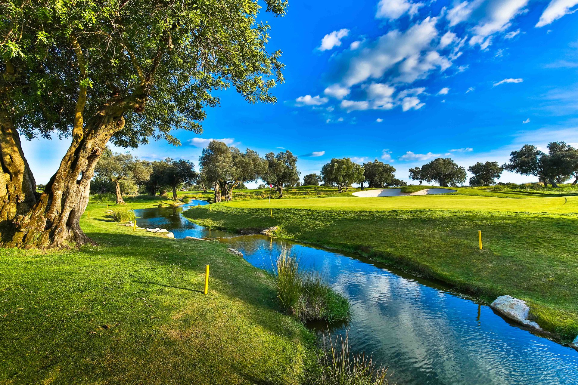 Quinta de Cima Golf Club