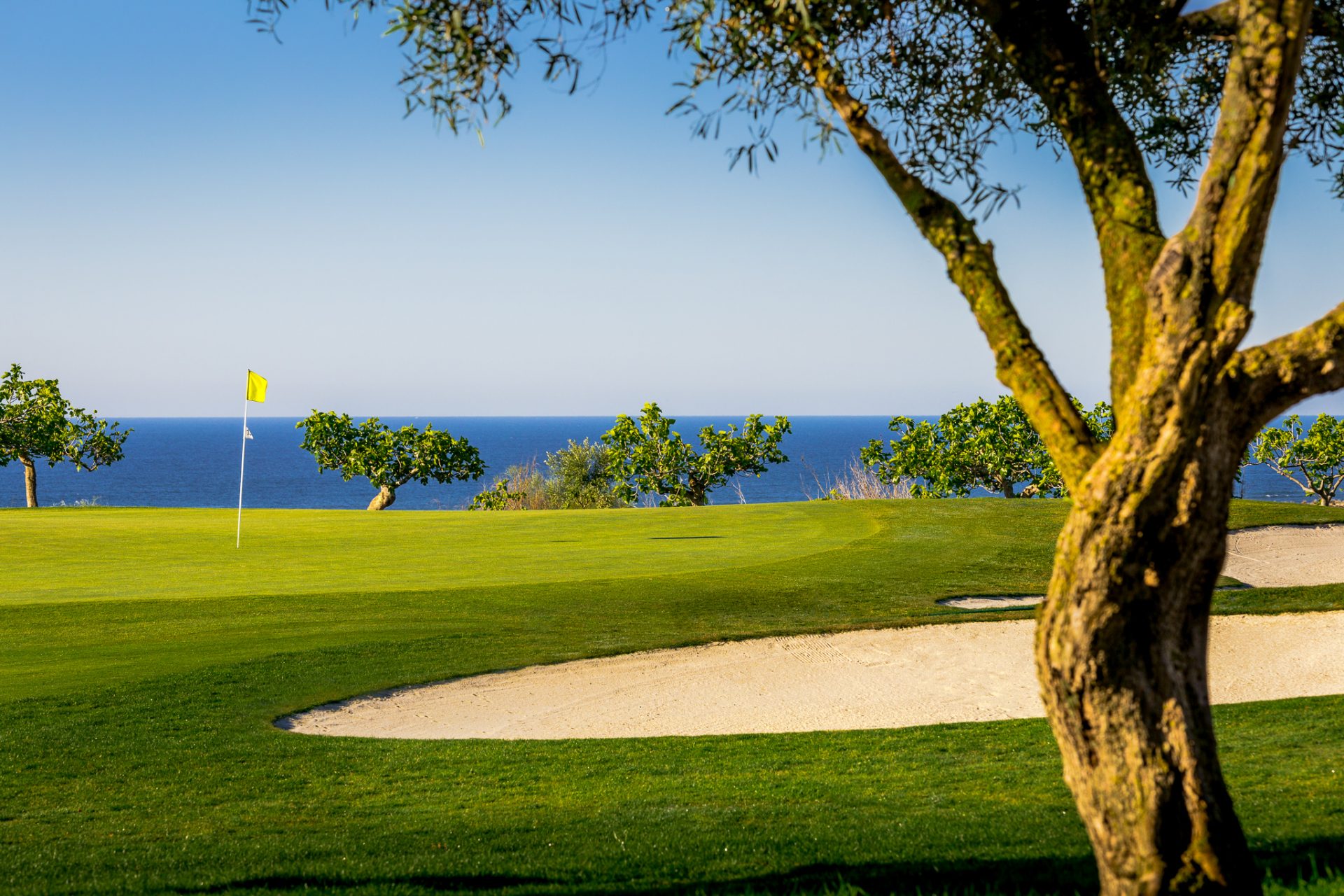 Quinta da Ria Golf Club