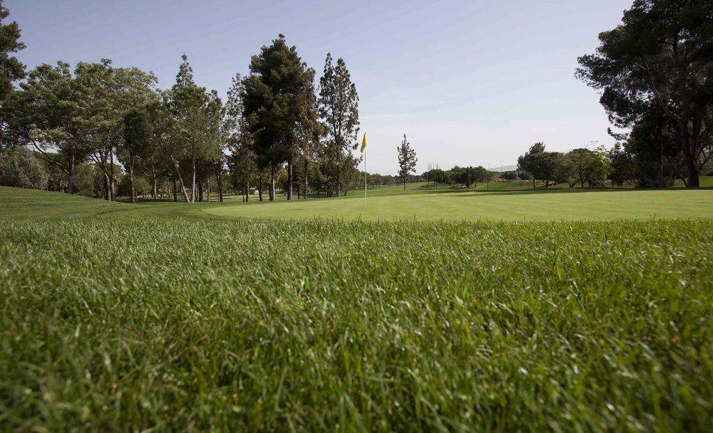 https://golftravelpeople.com/wp-content/uploads/2019/04/Real-Club-Pineda-Golf-Seville-3-1024x622.jpg
