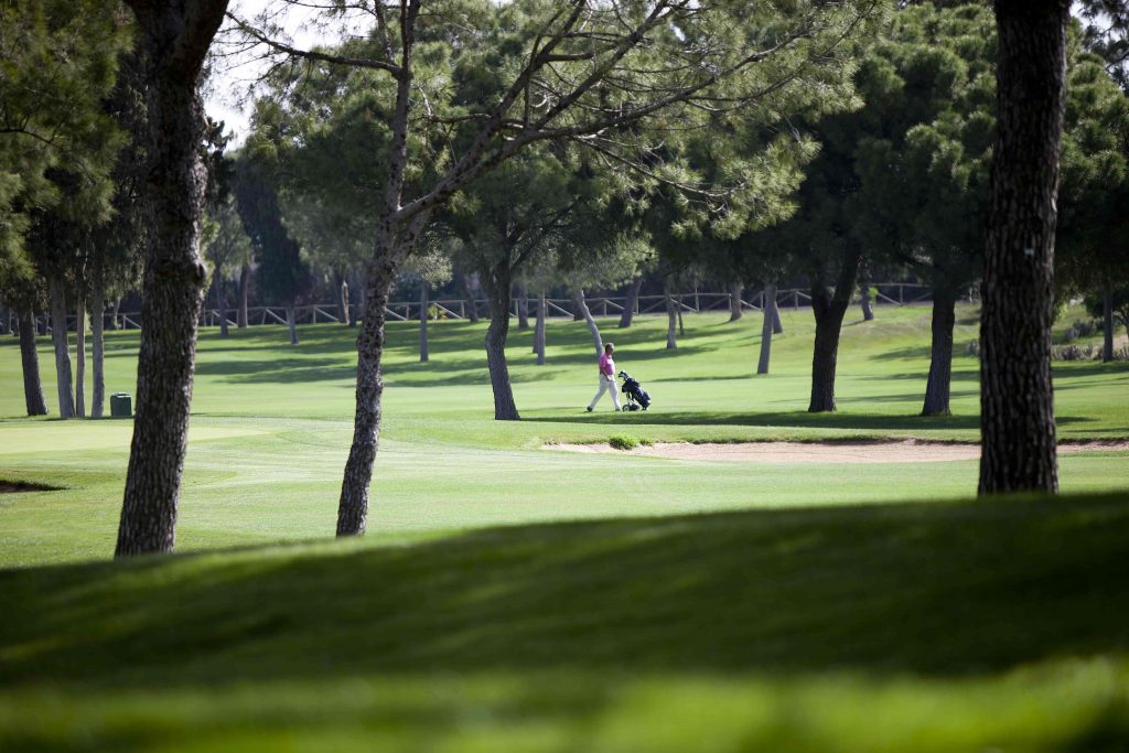 https://golftravelpeople.com/wp-content/uploads/2019/04/Real-Club-Pineda-Golf-Seville-8-1024x683.jpg