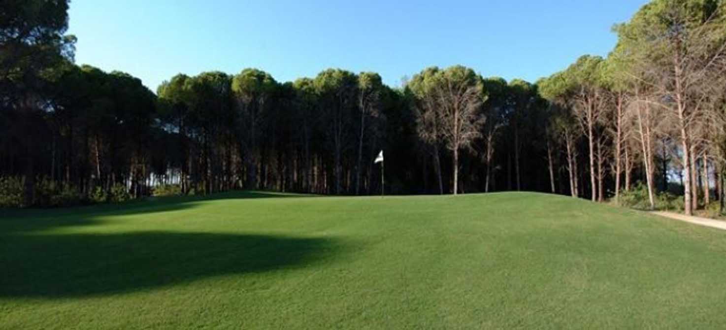 Sueno Golf Club – Sueno Pines