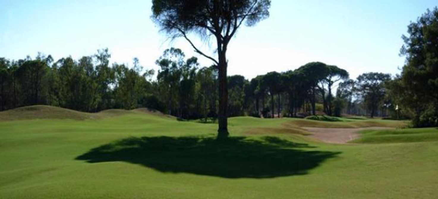 Sueno Golf Club – Sueno Pines