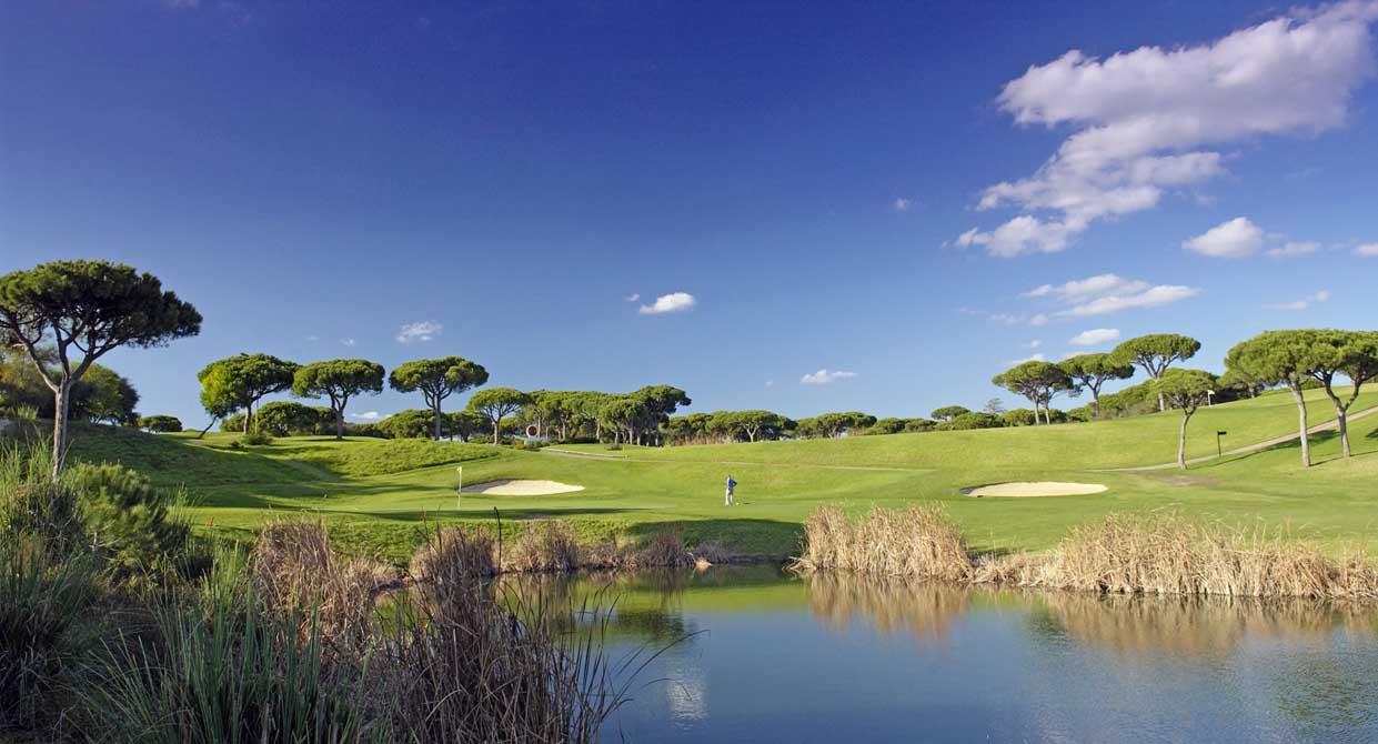 Open Golf Tournaments