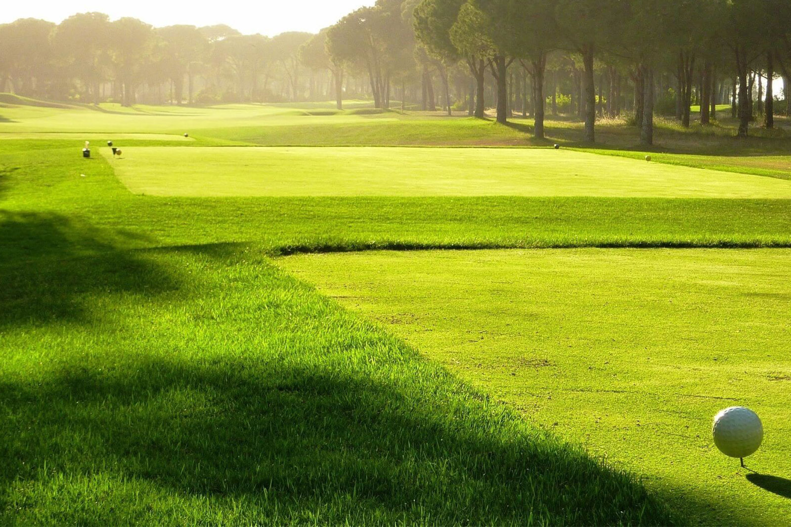 Robinson Nobilis Golf Club