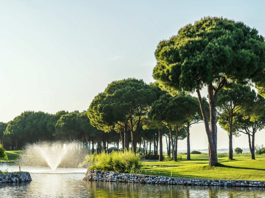 Robinson Nobilis Golf Club