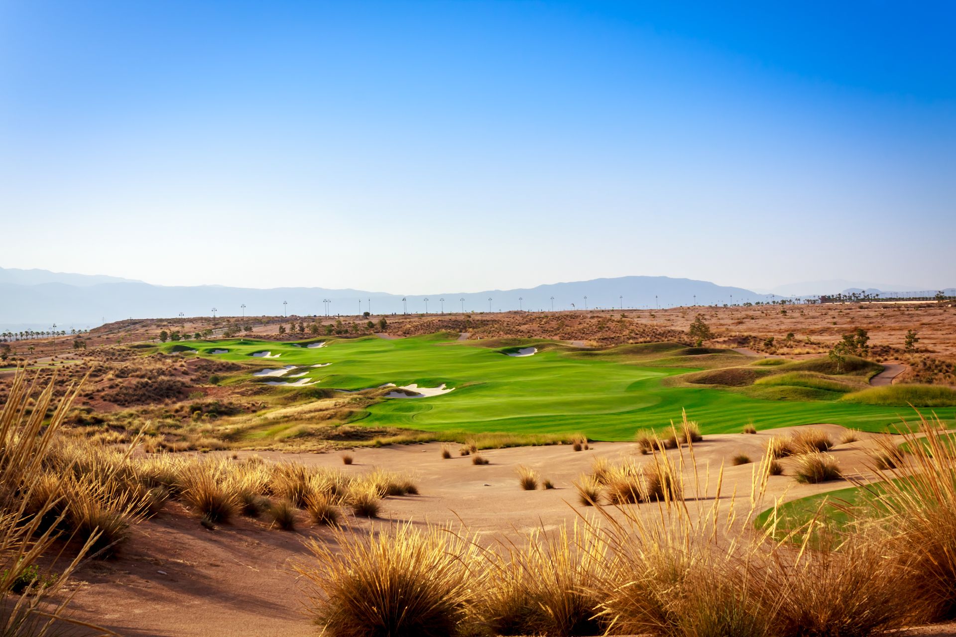 Alhama Signature Golf Club