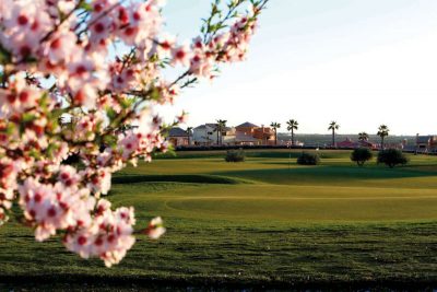 https://golftravelpeople.com/wp-content/uploads/2019/06/Hacienda-del-Alamo-Golf-Club-Murcia-Spain-8-400x267.jpg