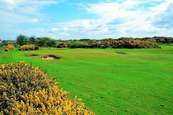 https://golftravelpeople.com/wp-content/uploads/2019/07/Royal-County-Down-Golf-Club-Annesley-Links-Northern-Ireland-2.jpg