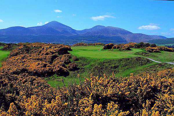 https://golftravelpeople.com/wp-content/uploads/2019/07/Royal-County-Down-Golf-Club-Annesley-Links-Northern-Ireland-8.jpg