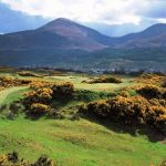 https://golftravelpeople.com/wp-content/uploads/2019/07/Royal-County-Down-Golf-Club-Annesley-Links-Northern-Ireland-9-150x150.jpg