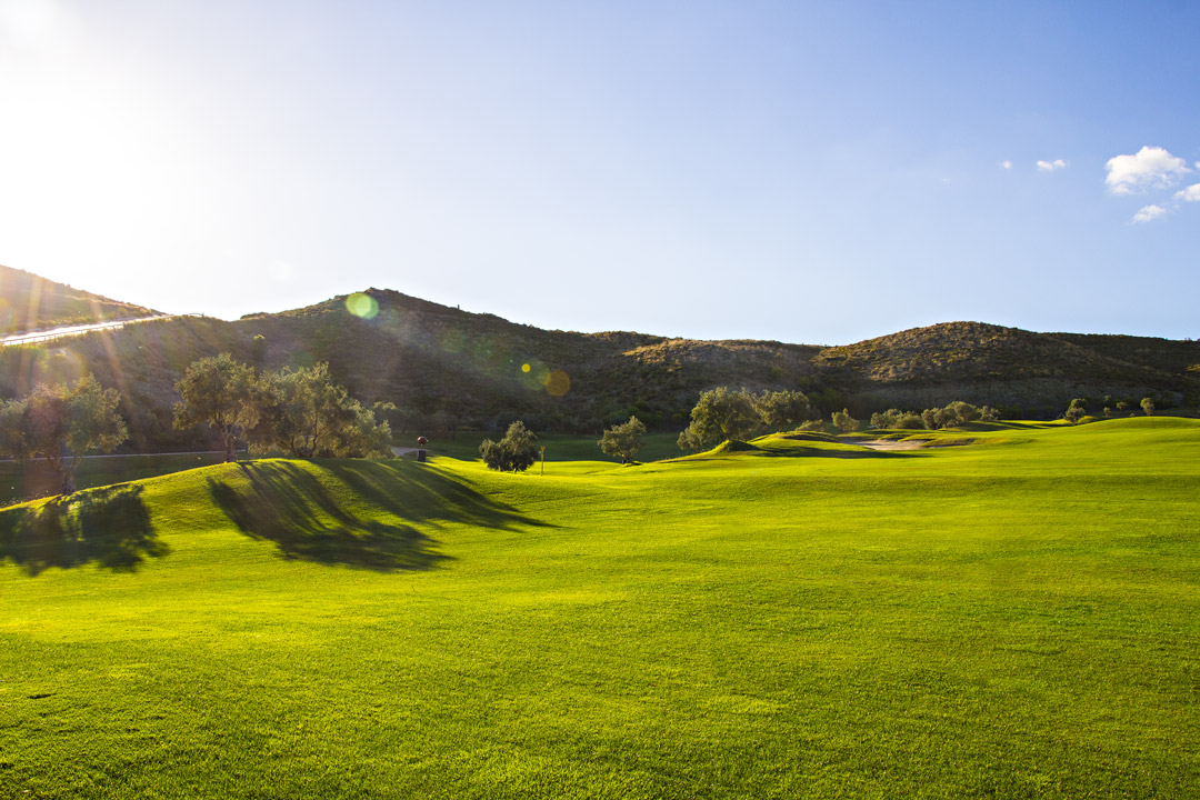 Alferini Golf at Villa Padierna Golf Club
